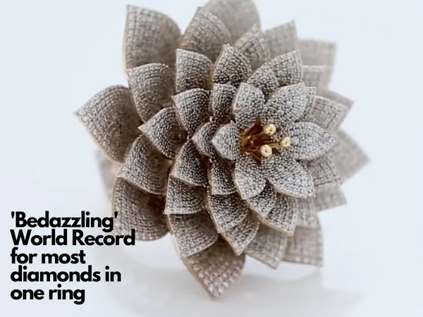 Guinness Record